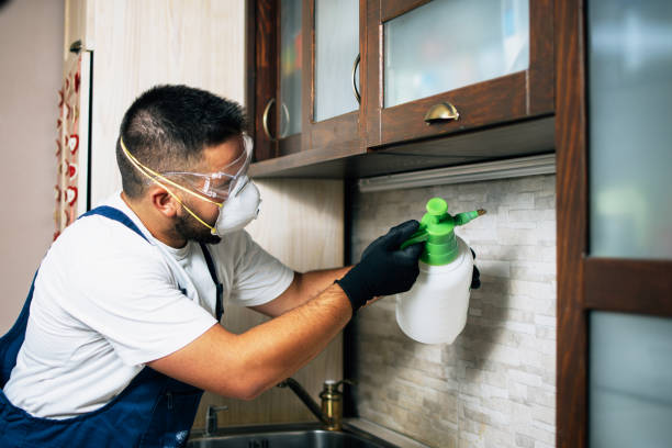 Pest Prevention Services in Lansing, KS