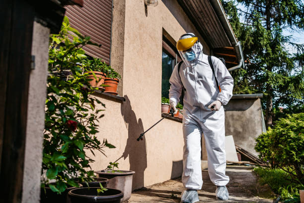Best Insect Control  in Lansing, KS