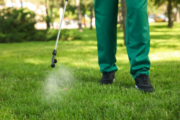 Best Insect Control  in Lansing, KS