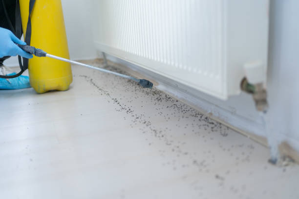 Best Pest Removal Services  in Lansing, KS