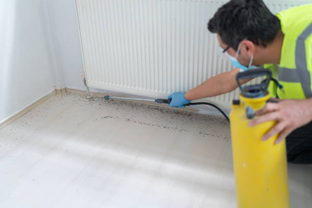 Best Pest Control Cost  in Lansing, KS